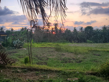 My Yoga Teacher Training in Bali Pt 2