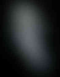 Magnolia Park | Magstronaut Mural