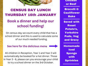 Census Day Lunch