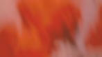 Sportist_Branding_edited_edited.jpg