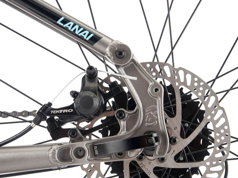 Miniature : VTT Kona Lana'i