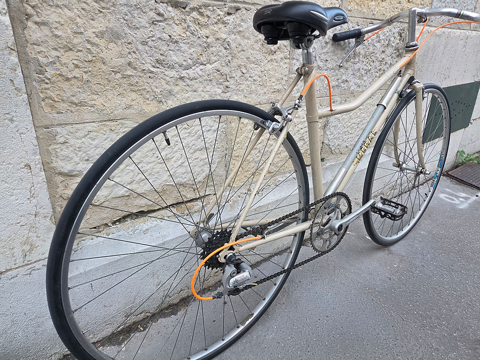 Miniature : Vélo de ville mixte vintage Méral