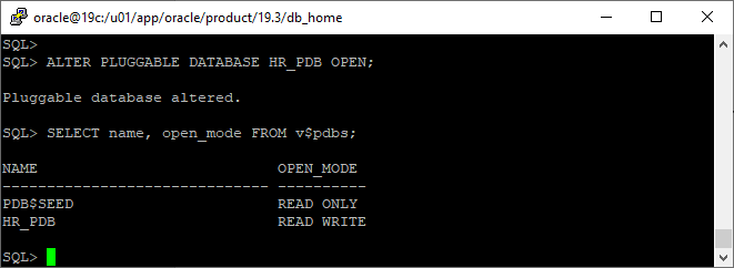alter pluggable database open