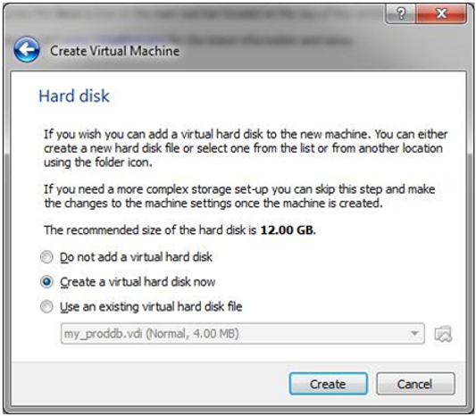 virtual disk