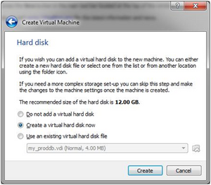 virtual disk