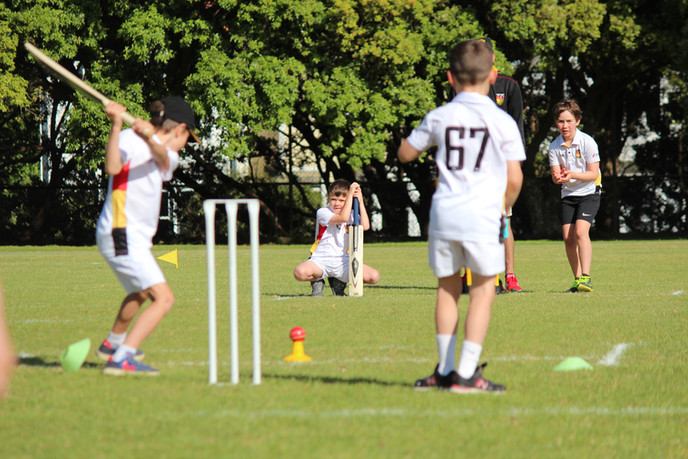 Wellington Collegians Cricket Club - Home Page