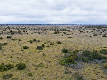 stora alvaret_edited.jpg