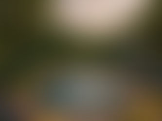 Elevating Outdoor Elegance: Seamless Integration of Pools in Landscape Design