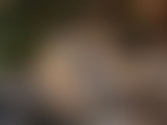 Elevate Your Outdoor Space: Mastering High-End Landscape Design for Luxury Homes