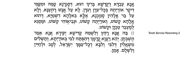 Torah Service Recording 3.png