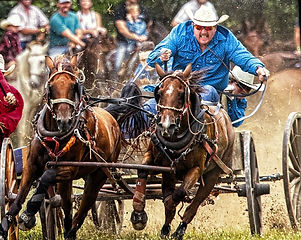 Chuckwagon Races.jpg
