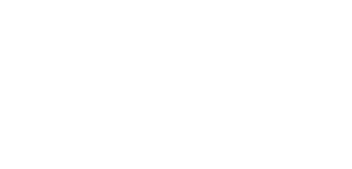 ManeConnect__MainLogo_White_LG_RGB_ForScreens.png