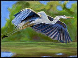Flying Heron Rebelle