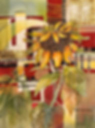 fullsizeoutput_1169c.jpeg