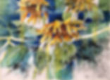 fullsizeoutput_1278d.jpeg