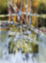 fullsizeoutput_e9a5.jpeg