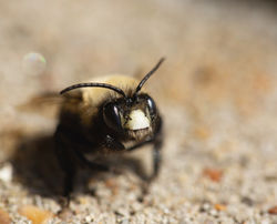 B2F6296E-BED8-4F60-AB9A-D4890923D68C