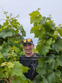 Winter Conversations in the Vines: Pruning with Gwil Cooper