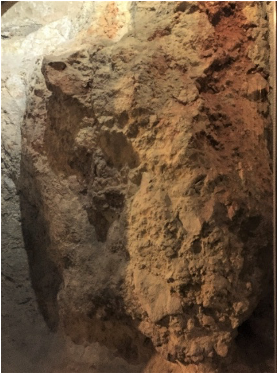 A close up of the skull… (note the nose and teeth)