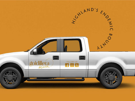 Goldillera Bloom - Service