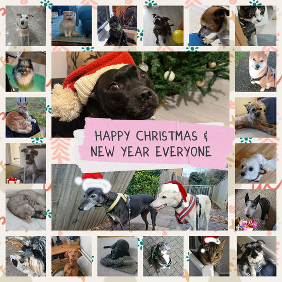 Happy Christmas 2025