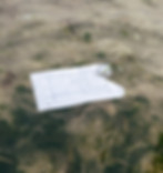 edits_CF_25_-110.jpg