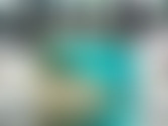 [稽古]7月のお稽古　夏のお点前/葉蓋