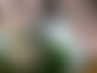 [TEA Experience Tour] 体験者のご感想／座学・プチ茶会で、茶道のイメージが変わりました