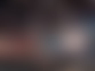 2026年・夜桜能へ ──雪のように桜が舞う中で