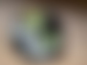 [ EVENT ] 報告 | 鳳明館旅館「お茶席と瞑想」