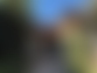 [ EVENT ]「茶と瞑想の会at 目白台OIMATSUYA」ご参加ありがとうございました