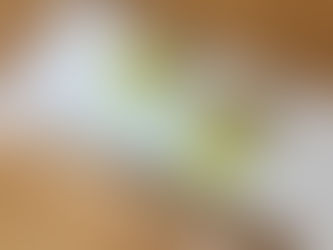 [稽古]１年目のお弟子さんのお稽古