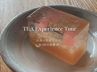 [TEA Experience Tour] デザイナーの方にご参加いただきました