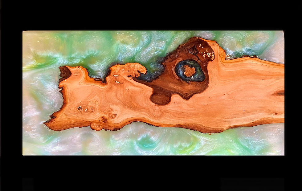 Thumbnail: Knife Racks