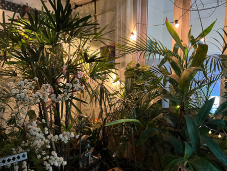 Disfruta de una tarde con nosotros