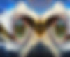 kaweah double bird swirl med.jpg