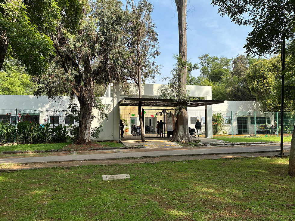 Boletín informativo Agosto 2026- Sede Bosque Cuauhtémoc