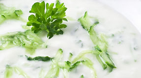 Selbst gemachter Tzatziki