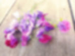 bunch of pink and purple sweet pea flowers