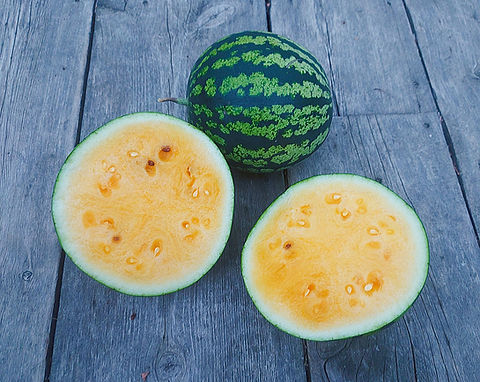 Watermelon - Sweetglo Watermelon Seeds | Martha's Garden Seeds