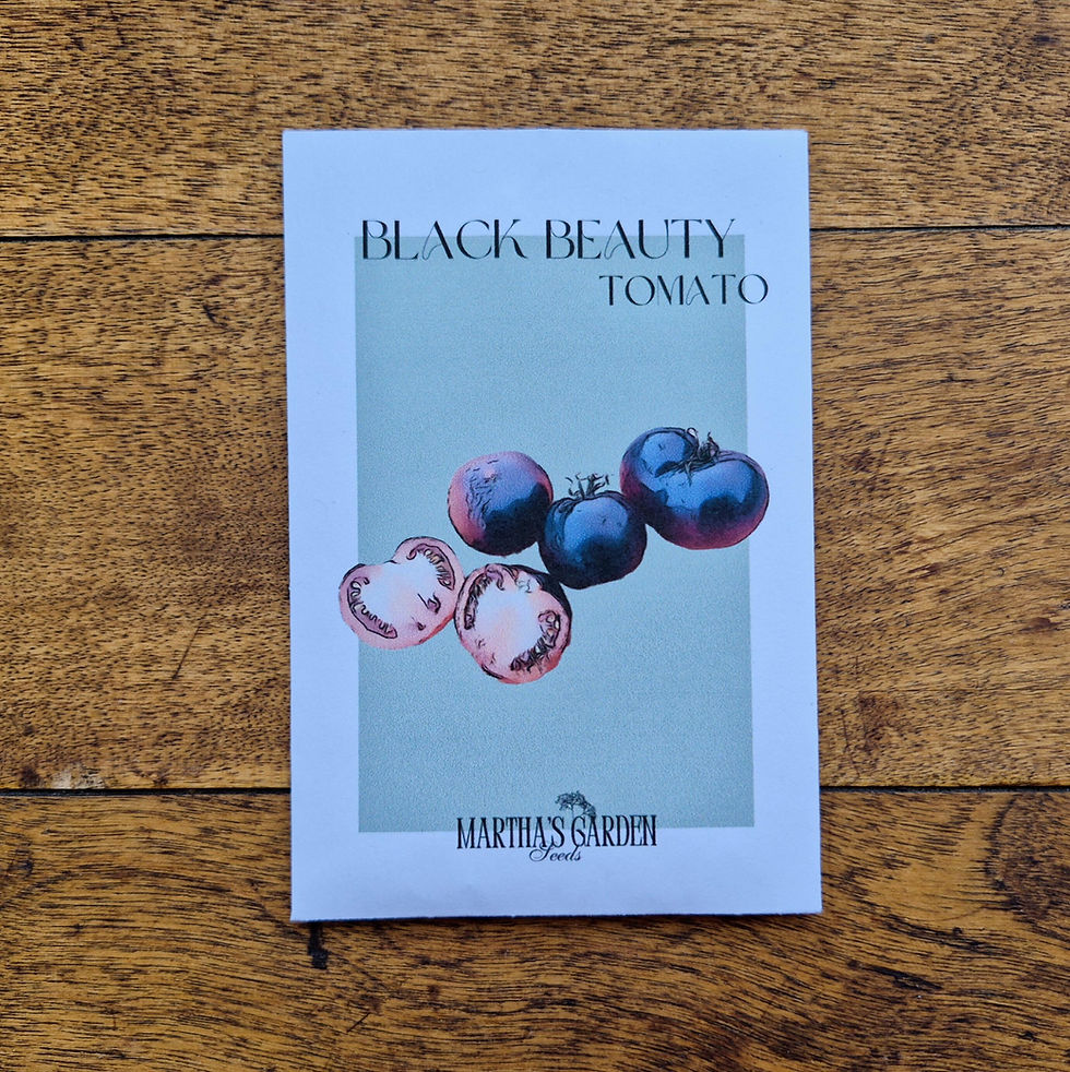 Thumbnail: seed packet containing black beauty tomato seeds