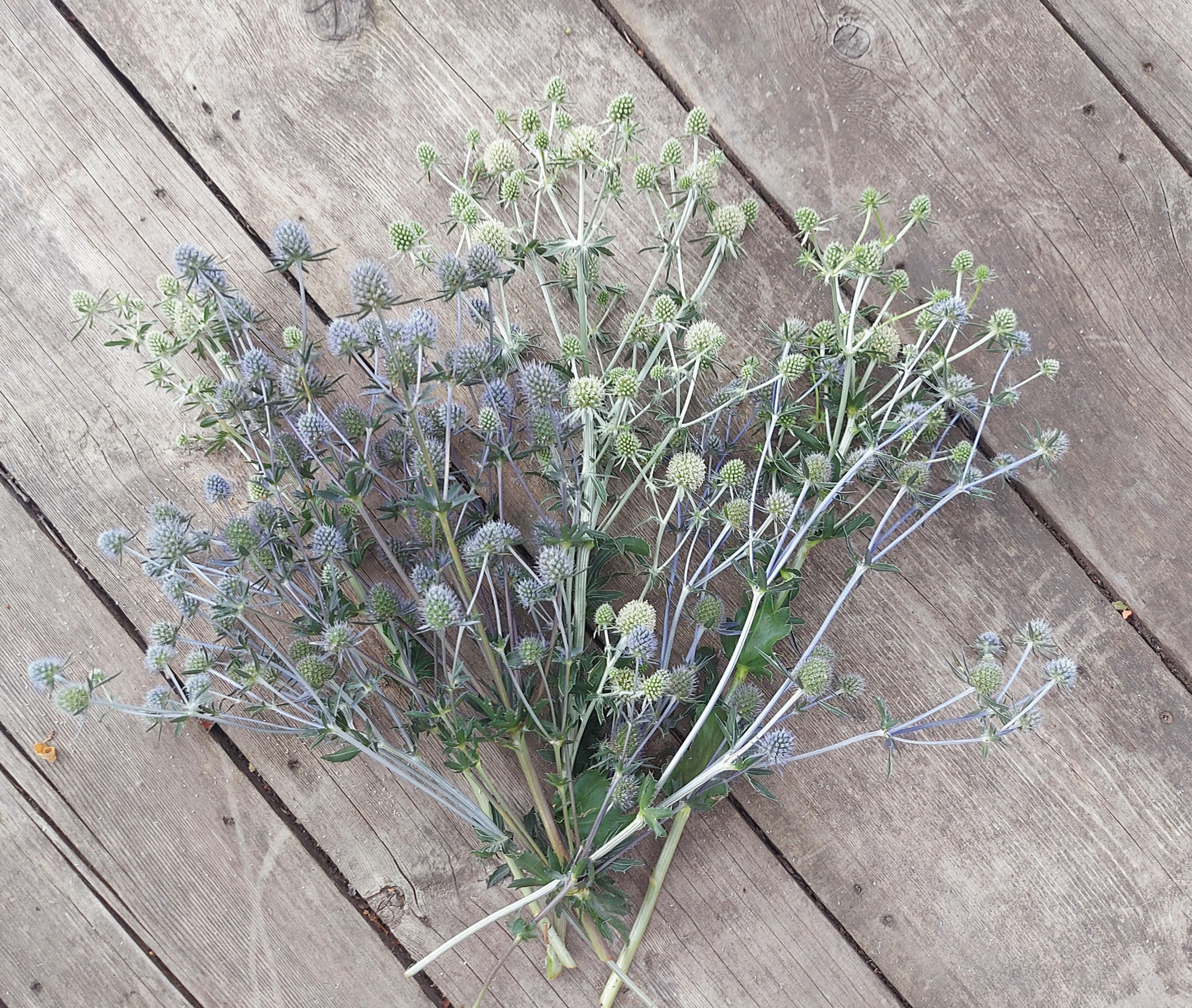 bouquet with a mix of blue and white sea holly