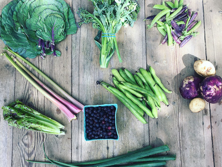 July 25 Veggie Bags