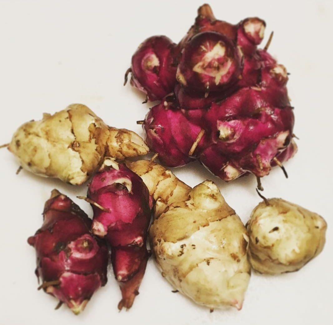 Sunchoke Tubers