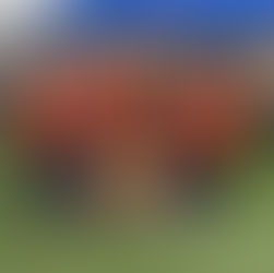 FSA Spring Blast Recap