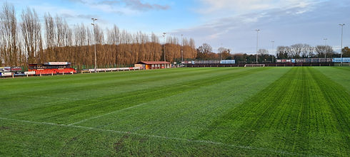 APFC GRASS PITCH .jpg