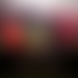 FSA PRO - Mansfield Town, Showcase Game