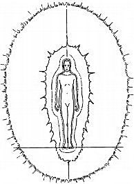 biochamp