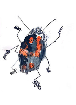 image4