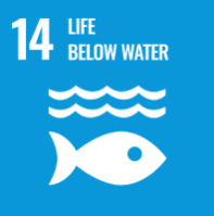 SDG14jpg
